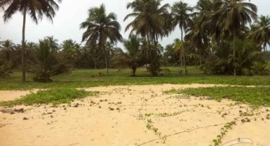 Terrain à mondoukou 450m après coconut village