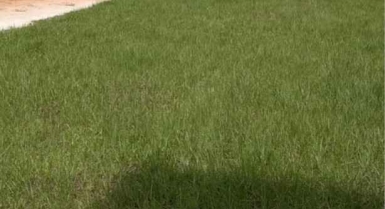 Vente de terrain avec acd à la riviera golf 4