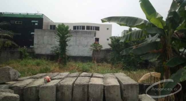 Terrain de 600m2 en vente à cocody socoprix