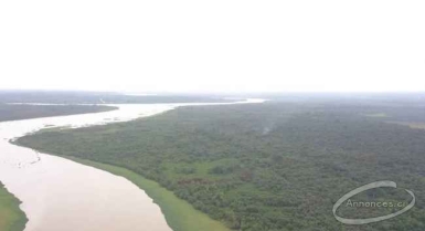 Terrain pied dans l'eau à motobé