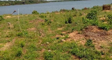 Vente de terrain avec acd à jacqueville