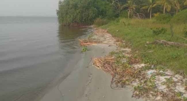 Vente 2ha (tf) jacqueville ville bordure de lagune