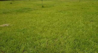 Terrains en vente en bordure d'eau à m'badon