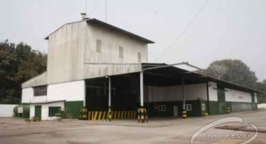 Vente d'usine de cacao de 5000m2 à gagnoa