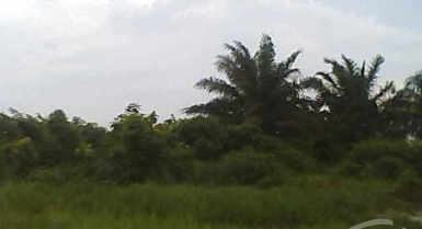 Terrain en vente a angre