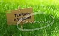 Vente de 30 lots de 500 m2 a angre extension