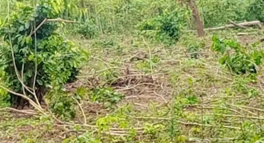 Terrain avec lettre d'approbation ? songon agban