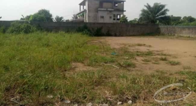 Terrain de 630m2 à bingerville lycée jeune fille