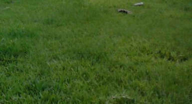 Terrain de 300m2 en vente à yopougon zone industrielle