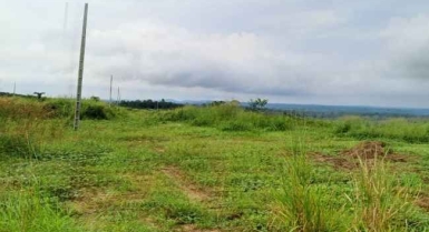 Vente de terrain à azaguie awa carrefour