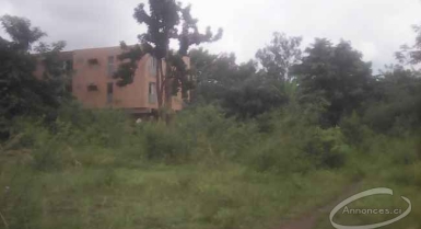 Terrain en vente à la cite des élus de yamoussoukro