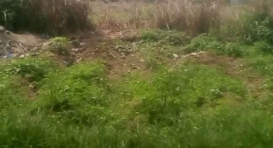 40 hectares en vente à ebimpe