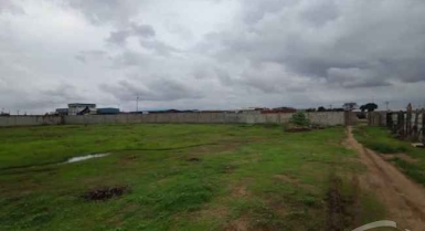 Terrain nu de 6500m2 en location à yopougon nouvelle zone industrielle