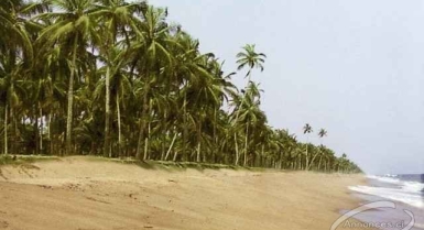 Location bail : terrain de 3000m² en bordure de mer jacqueville