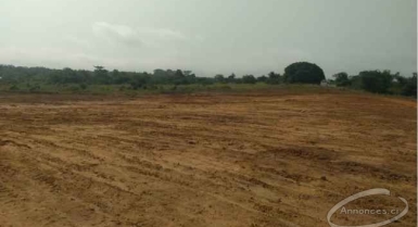 Beau terrain en vente a jacqueville