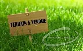 Terrains en vente