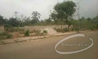 Terrain en vente au quartier sopim château à yamoussoukro