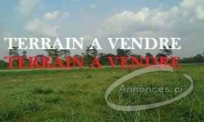 Vente de terrain a angre 