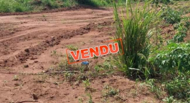 Terrains en vente a yamoussoukro inphb