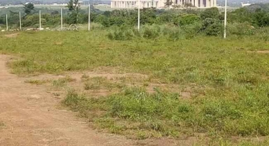 Terrain en vente à yamoussoukro à la basilique déjà viabilisé