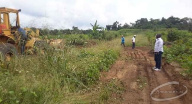 Vente de terrains sécurisés à songon dagbé