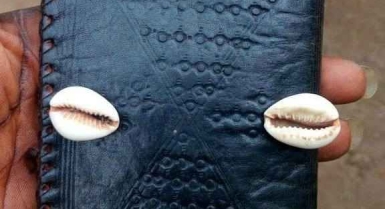 Porte monnaie magique multiplicateur d'ar