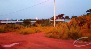Terrain en vente à yamoussoukro avec un acd