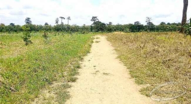 Terrain bien situé 3 hectares en vente à yamoussoukro