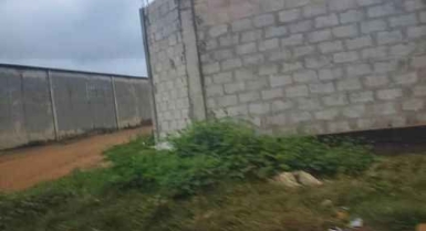 Terrain de 2ha acd en vente à yopougon nouvelle zone industrielle pk22