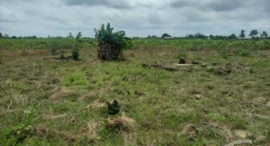 Terrain de 4ha 88a 61ca soit 48861m² en vente adiaké lycée moderne