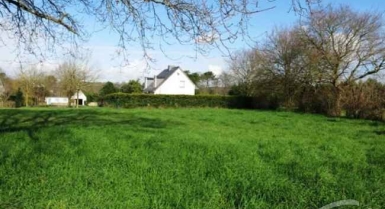 Des hectares à vendre à yamoussoukro