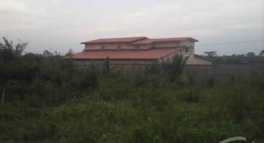 Terrain en vent a yamoussoukro 