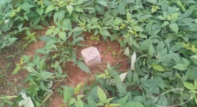 Terrain de 500 m2 à angre cocody en vente