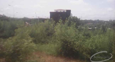 Terrain en vente à yamoussoukro très bien place a kami