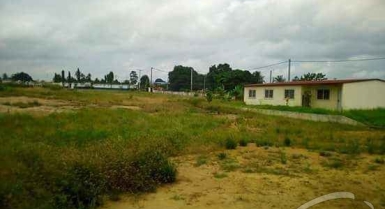 Vente de 15 lots de 400 metres carres chacun a songon agban attie ii
