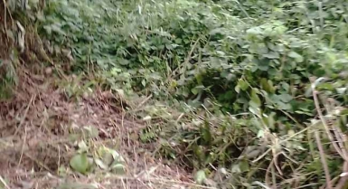 Location 02 hectares à anyama