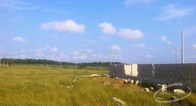 Vente de terrain a songon