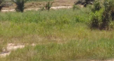 Terrain en vente non loin de la ci-energie