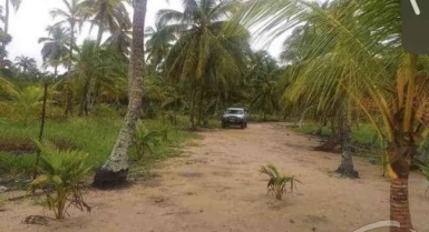 Terrain et vente de parcelle de terre à assinie