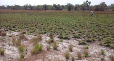 Terrain en vente à assouinde