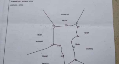 Terrains de 3ha 36a et 2ha 38a en vente à bonoua 