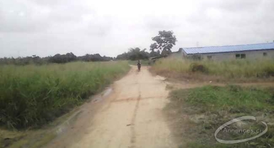 Terrain en bordure de lagune