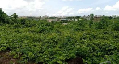 Terrain de 35 lots de 450m² en vente