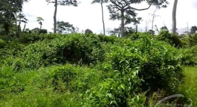 Vente de terre agricole