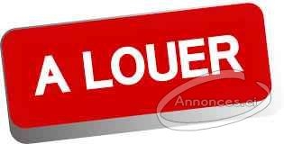 Appartements de luxe en location