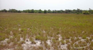 Terrain à vendre dans la zone d'assinie 