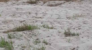 Vente de terrain a la baie des milliardaires