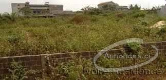 Terrain de 600 m2 à djorobité