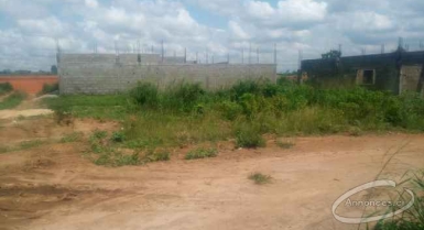 Beau terrain de 600 m2 en vente 