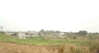  terrain en vente à angré djibi